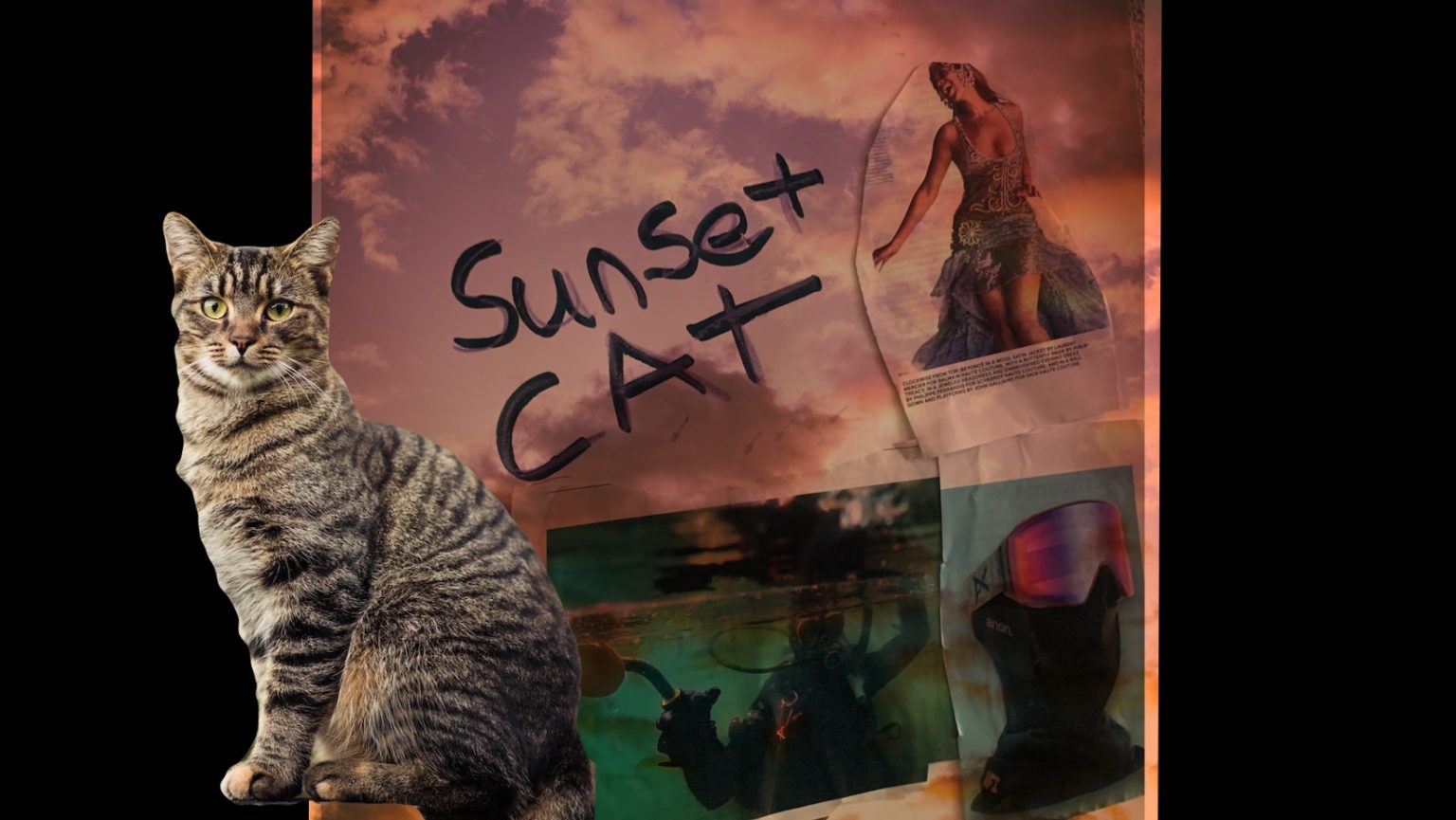 Collage with a tabby cat, the words Sunset Cat, a sunset sky, a diver and snow goggles